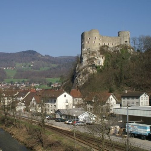 Schloss und Museum Alt-Falkenstein