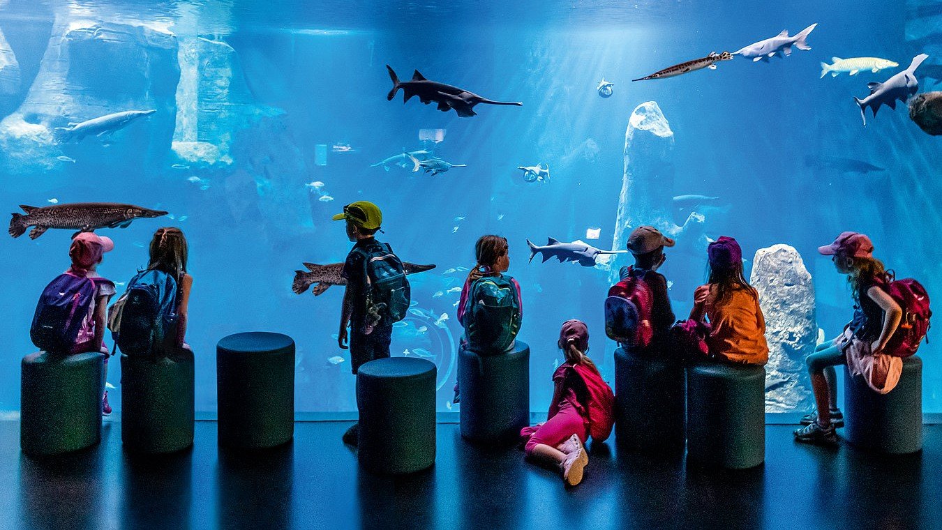 Besuch einer Schulklasse im AQUATIS Aquarium-Vivarium in Lausanne
